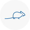 Mice Exterminators In Clacton On Sea